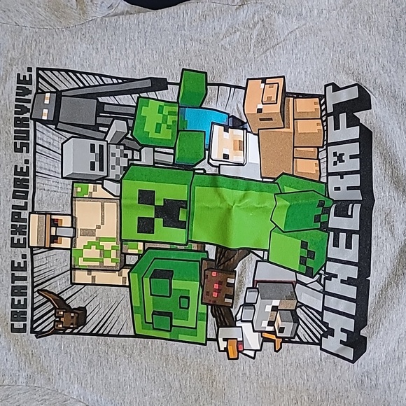 5 Boys Minecraft Tee Shirts Size Large - Picture 3 of 6